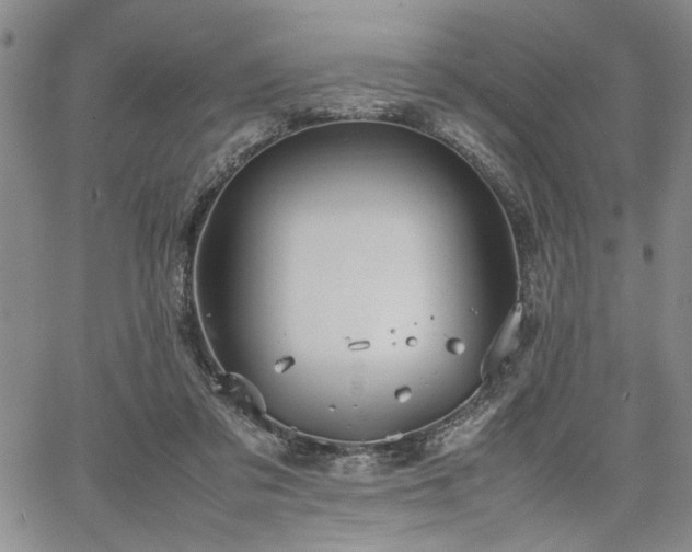 X0000067520309200604071328