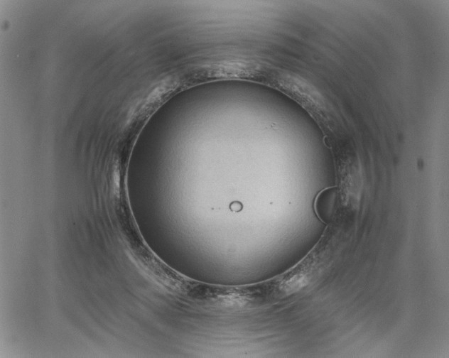 X0000067520310200604071328