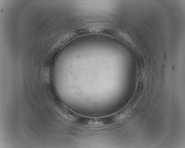 X0000067520311200604071328