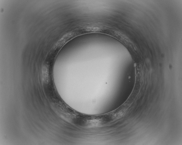 X0000067520312200604071328