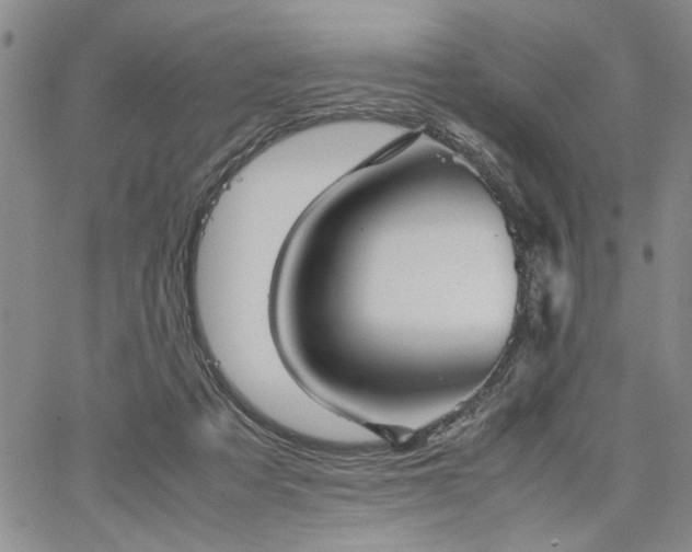 X0000067520313200604071328