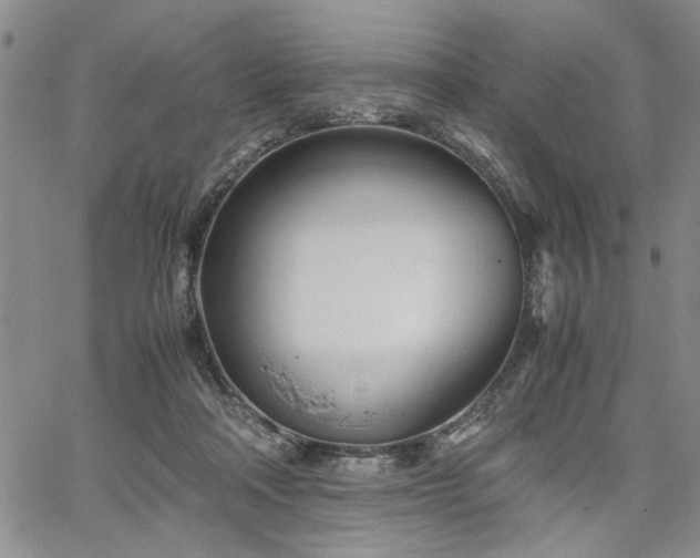 X0000067520314200604071328