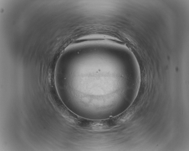 X0000067520315200604071328