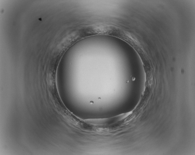 X0000067520317200604071328