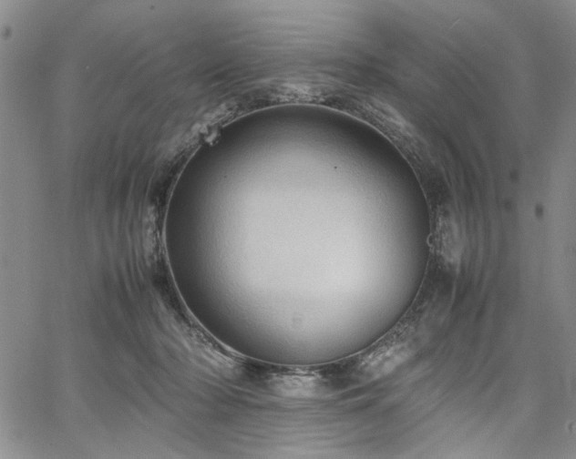 X0000067520318200604071328