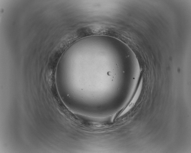 X0000067520319200604071328