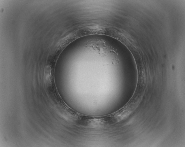 X0000067520320200604071328