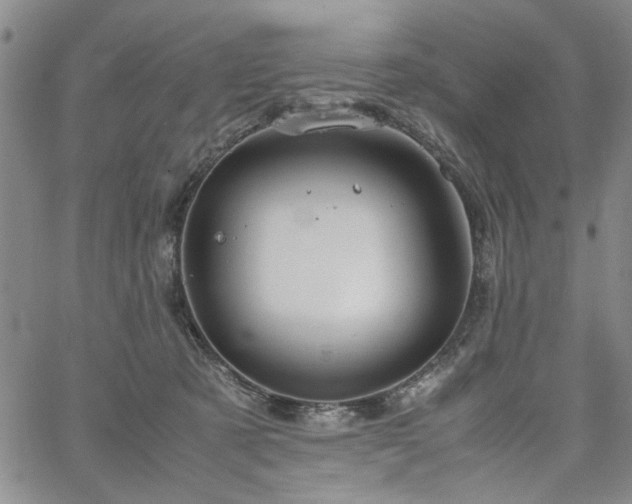 X0000067520321200604071328