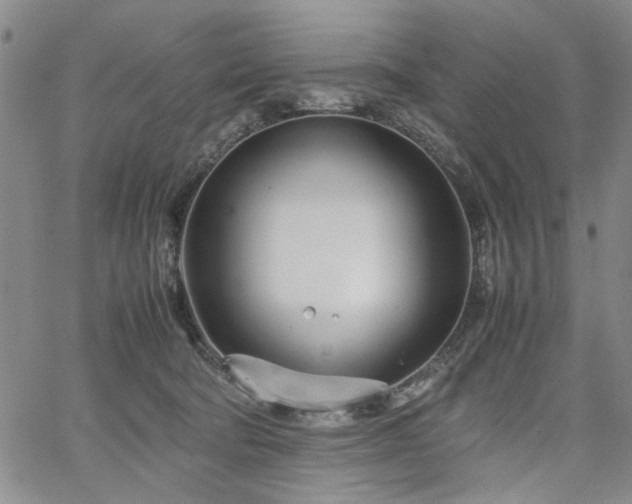 X0000067520322200604071328