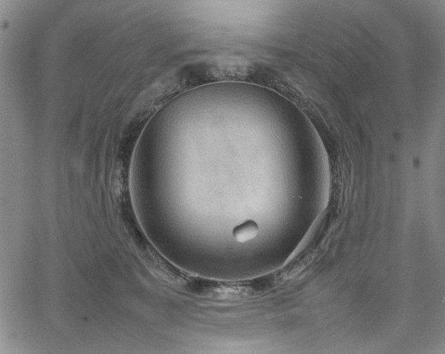 X0000067520323200604071328