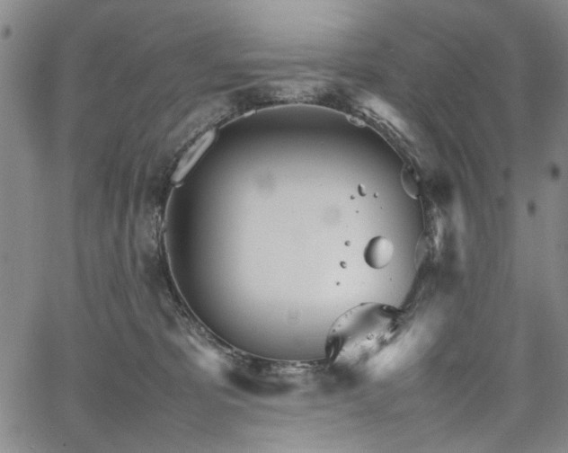 X0000067520325200604071328