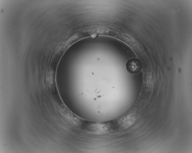 X0000067520326200604071328