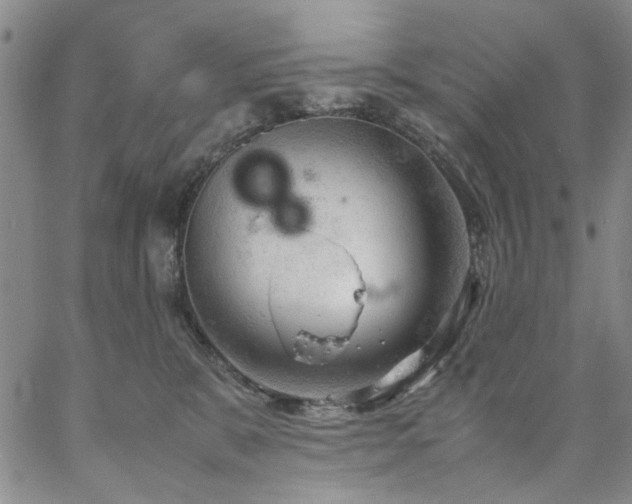 X0000067520327200604071328