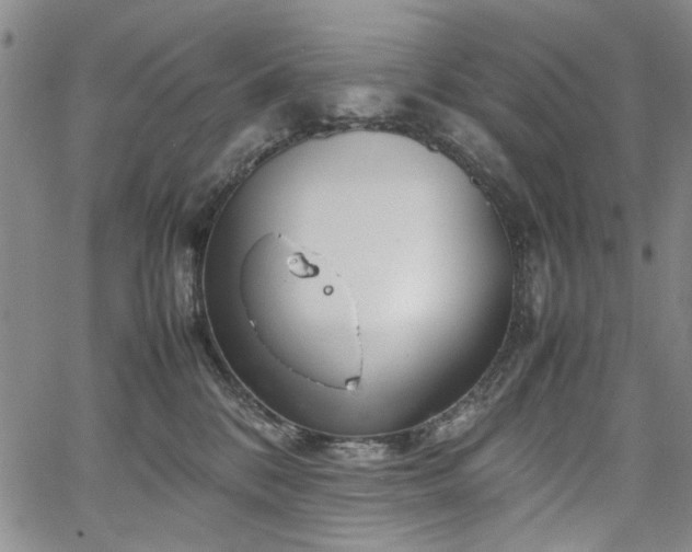 X0000067520328200604071328