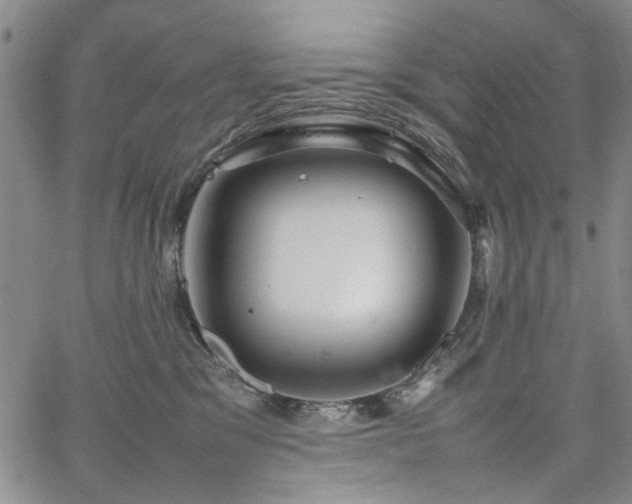 X0000067520329200604071328