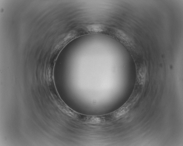 X0000067520330200604071328