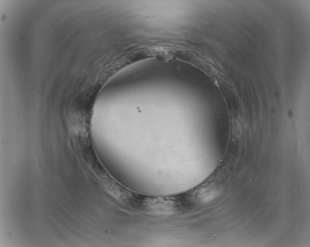 X0000067520331200604071328