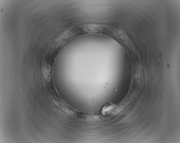 X0000067520332200604071327