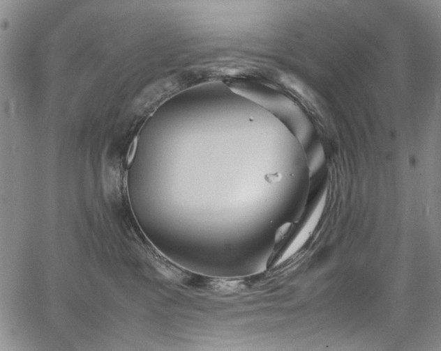 X0000067520333200604071327