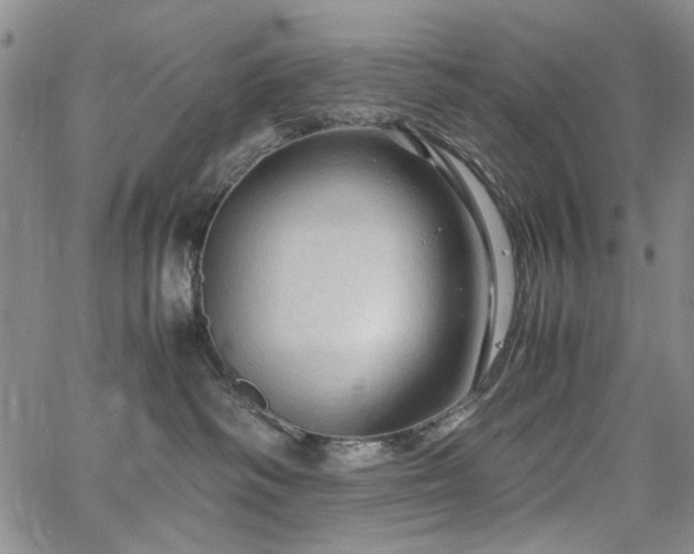 X0000067520334200604071327