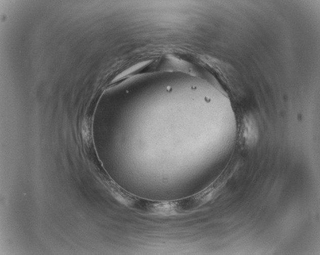 X0000067520335200604071327