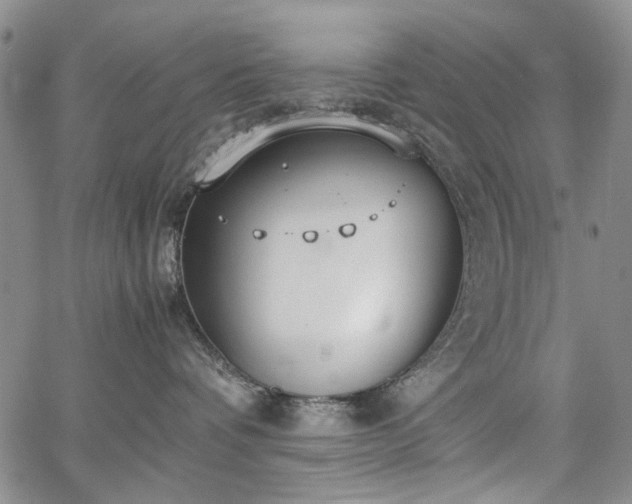 X0000067520336200604071327