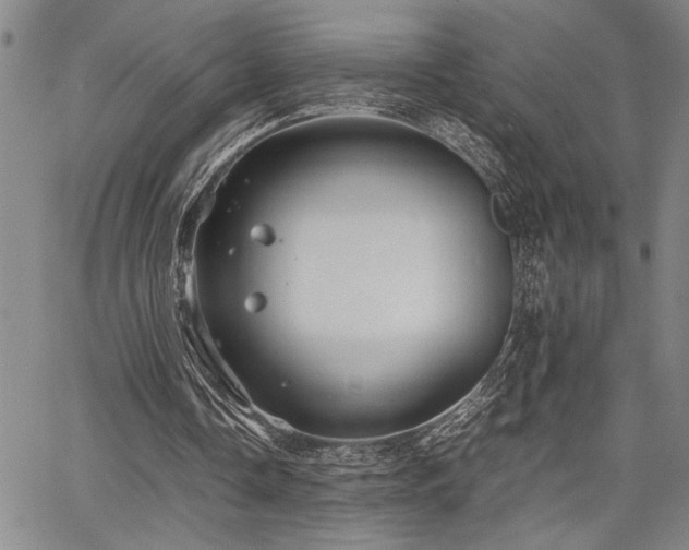 X0000067520338200604071327