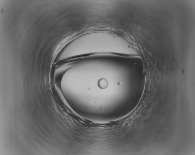 X0000067520340200604071327