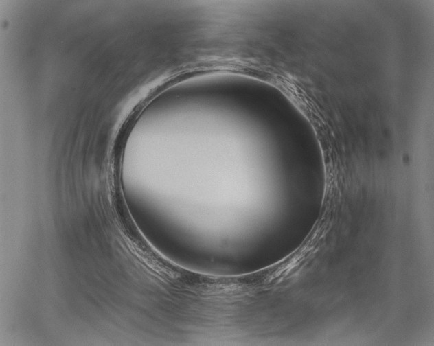 X0000067520342200604071327