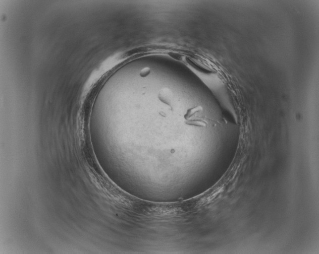 X0000067520343200604071327