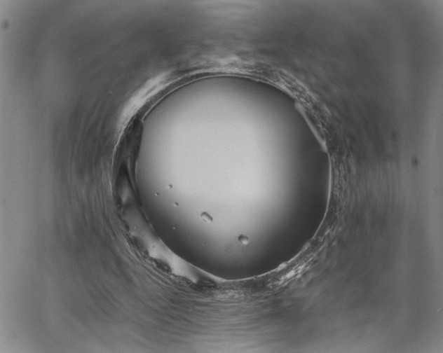 X0000067520344200604071327