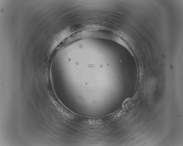 X0000067520345200604071327