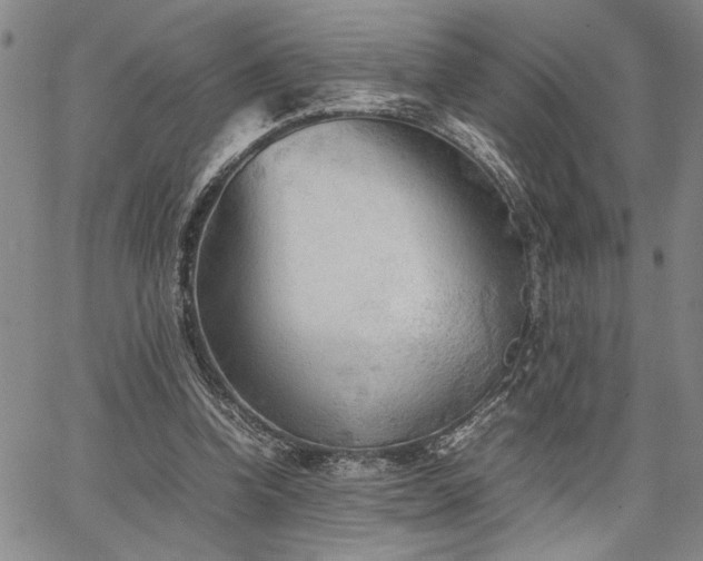 X0000067520346200604071327