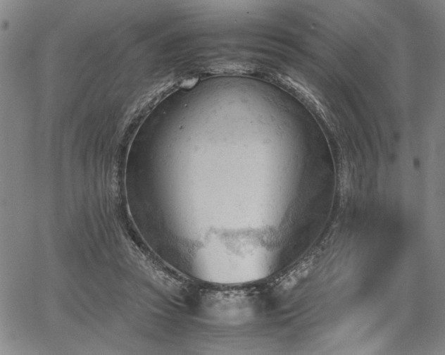 X0000067520353200604071327