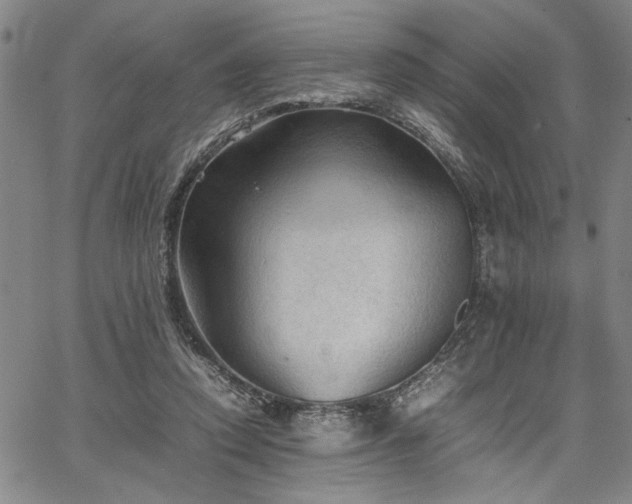 X0000067520354200604071327