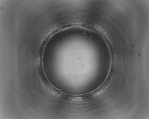 X0000067520355200604071327