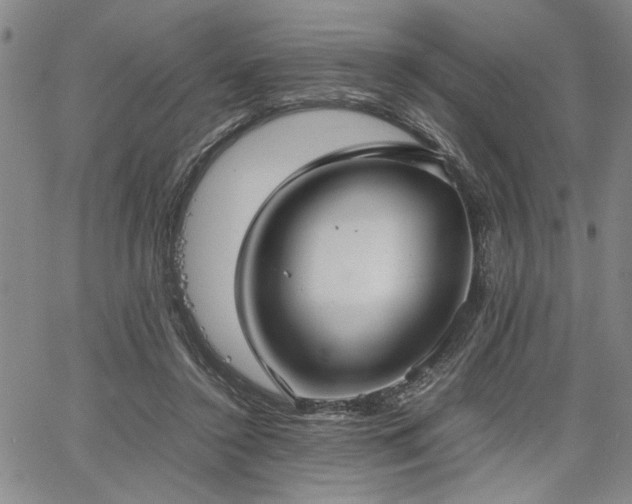 X0000067520356200604071327