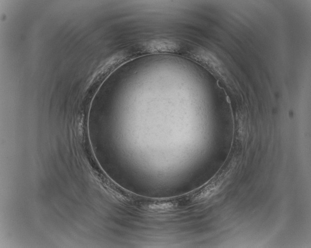 X0000067520357200604071327