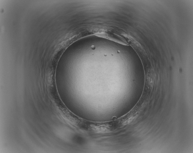 X0000067520359200604071327