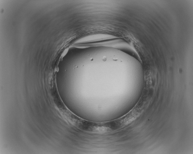 X0000067520360200604071327