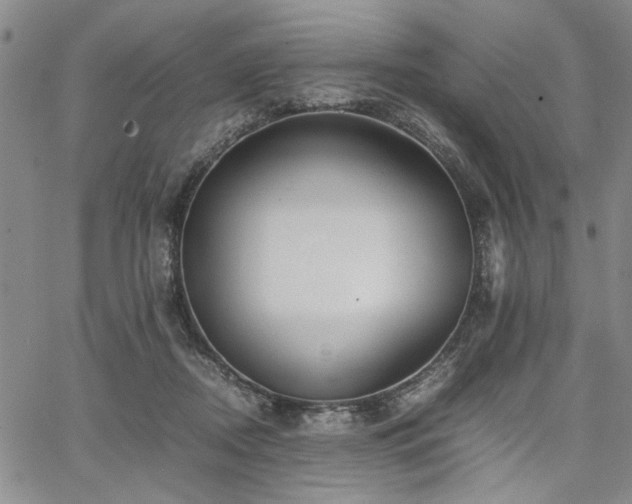 X0000067520362200604071327