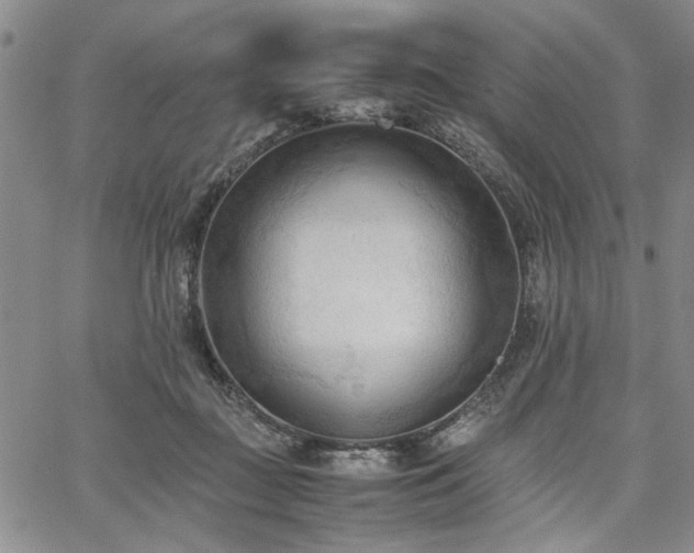 X0000067520363200604071327