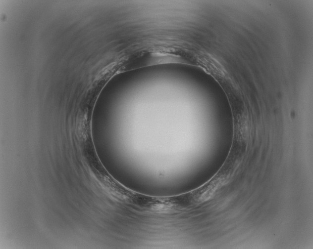 X0000067520364200604071327