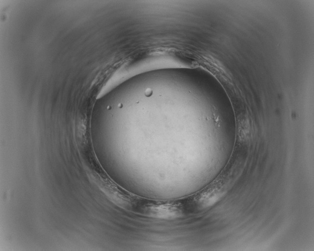 X0000067520365200604071327