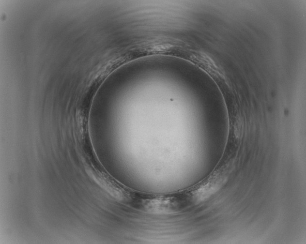 X0000067520366200604071327