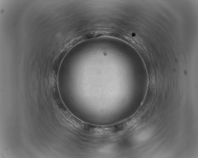 X0000067520367200604071327