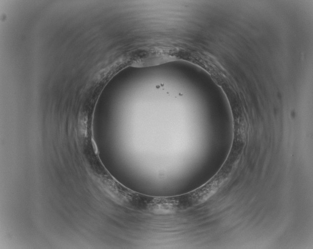 X0000067520368200604071327