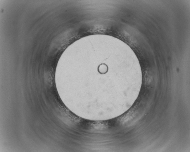 X0000067520370200604071327