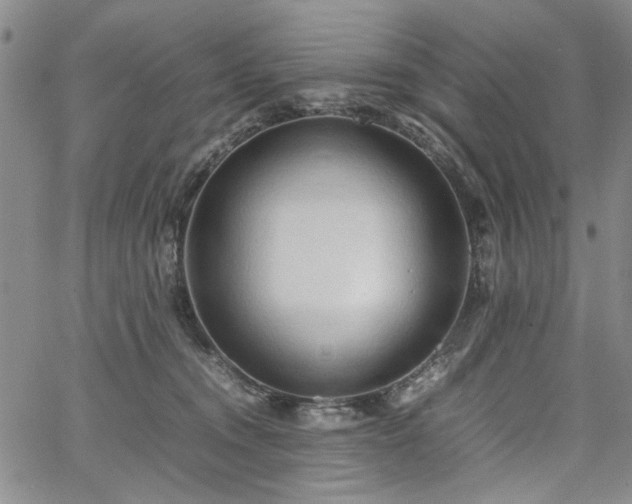 X0000067520372200604071327