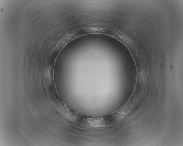 X0000067520373200604071327